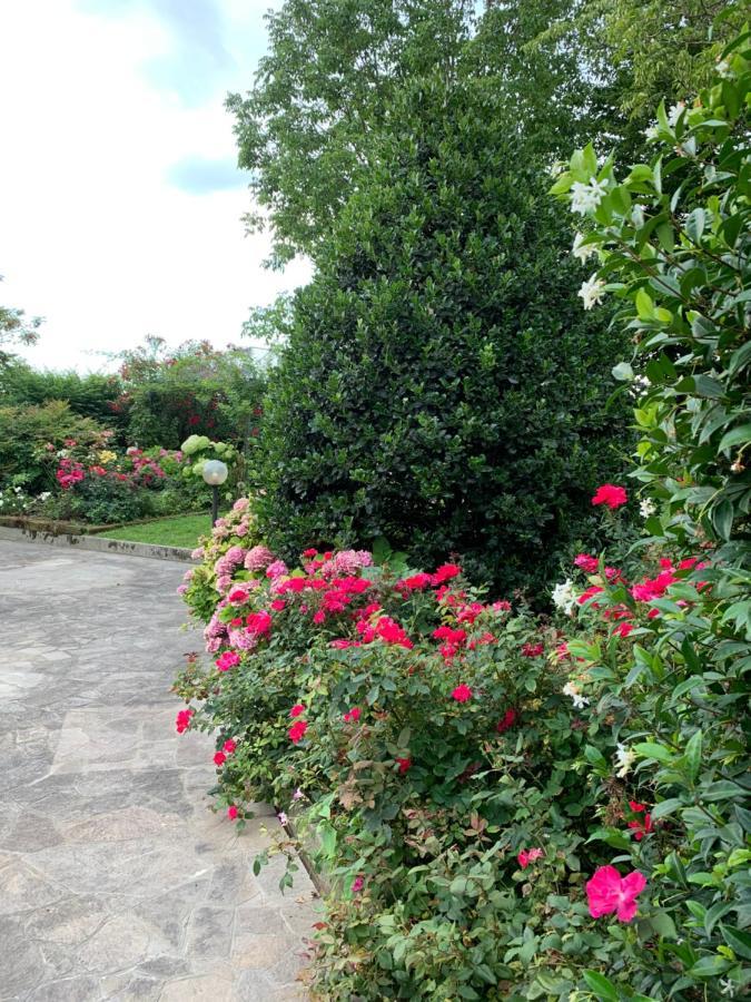 Casa Serenella B&B - Casa Vacanze Piazzola sul Brenta Eksteriør bilde
