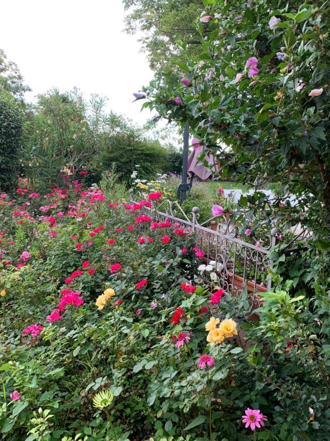 Casa Serenella B&B - Casa Vacanze Piazzola sul Brenta Eksteriør bilde