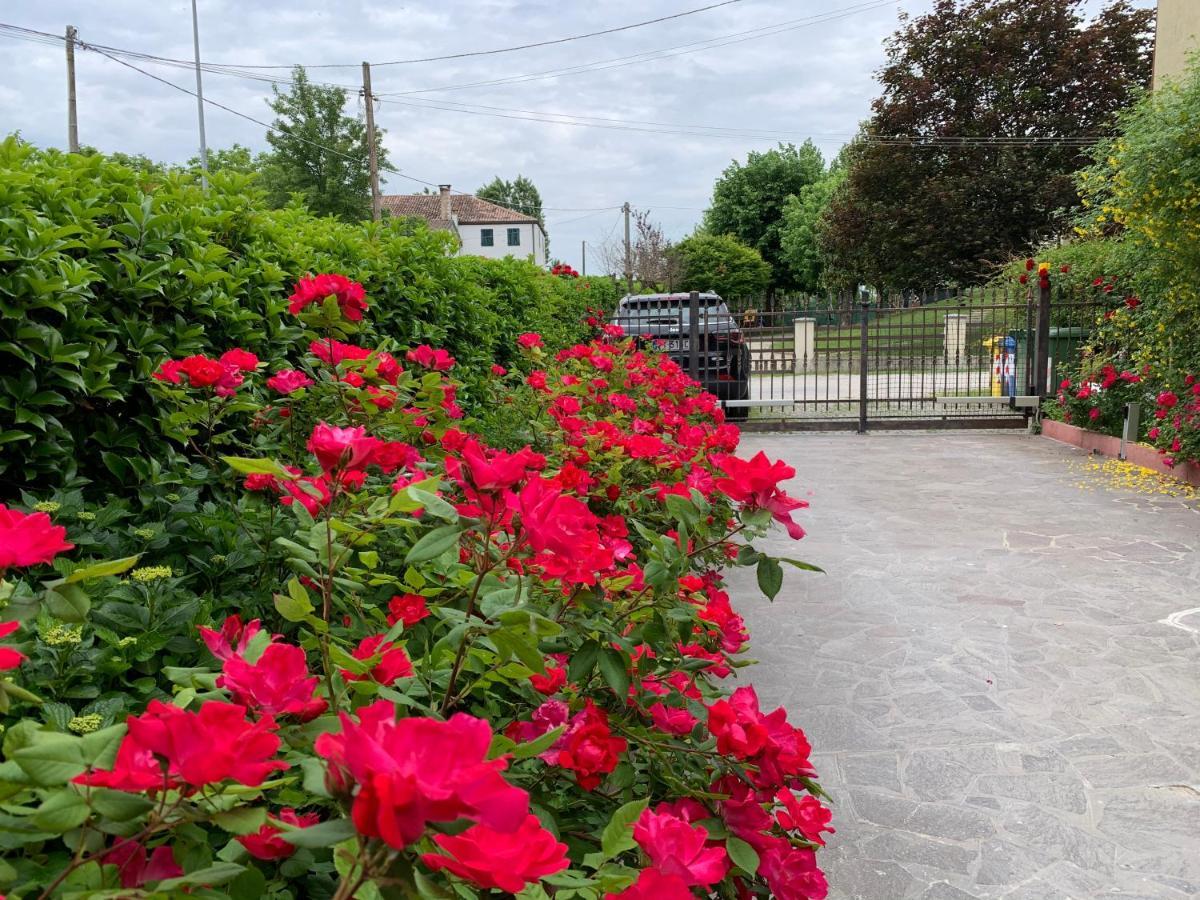 Casa Serenella B&B - Casa Vacanze Piazzola sul Brenta Eksteriør bilde