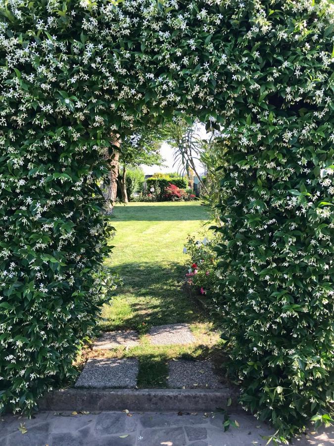 Casa Serenella B&B - Casa Vacanze Piazzola sul Brenta Eksteriør bilde
