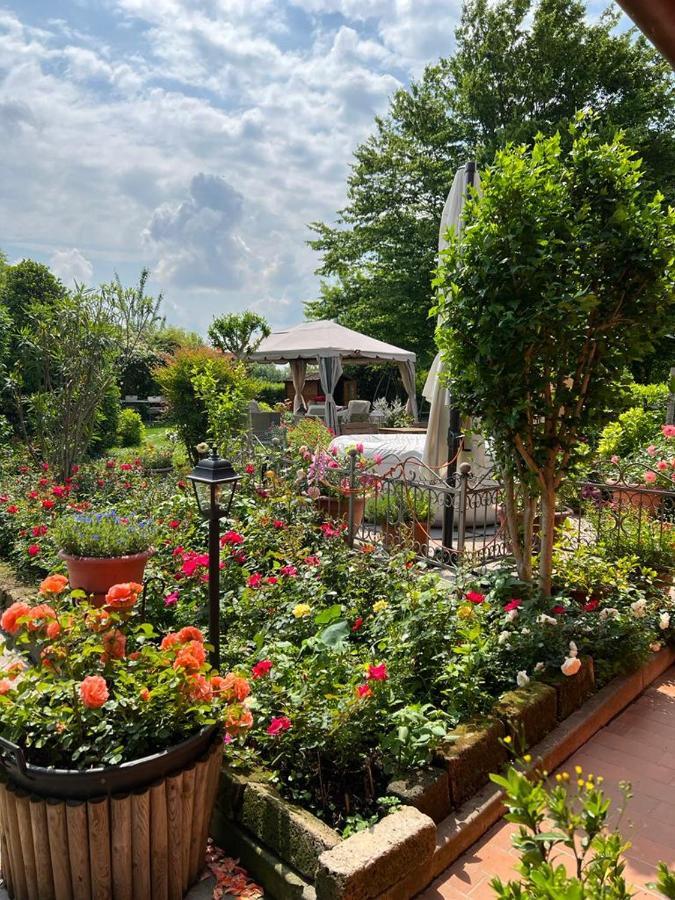 Casa Serenella B&B - Casa Vacanze Piazzola sul Brenta Eksteriør bilde