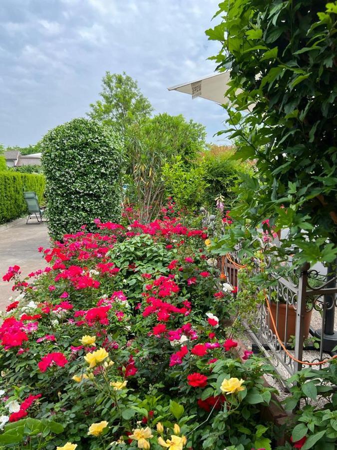 Casa Serenella B&B - Casa Vacanze Piazzola sul Brenta Eksteriør bilde