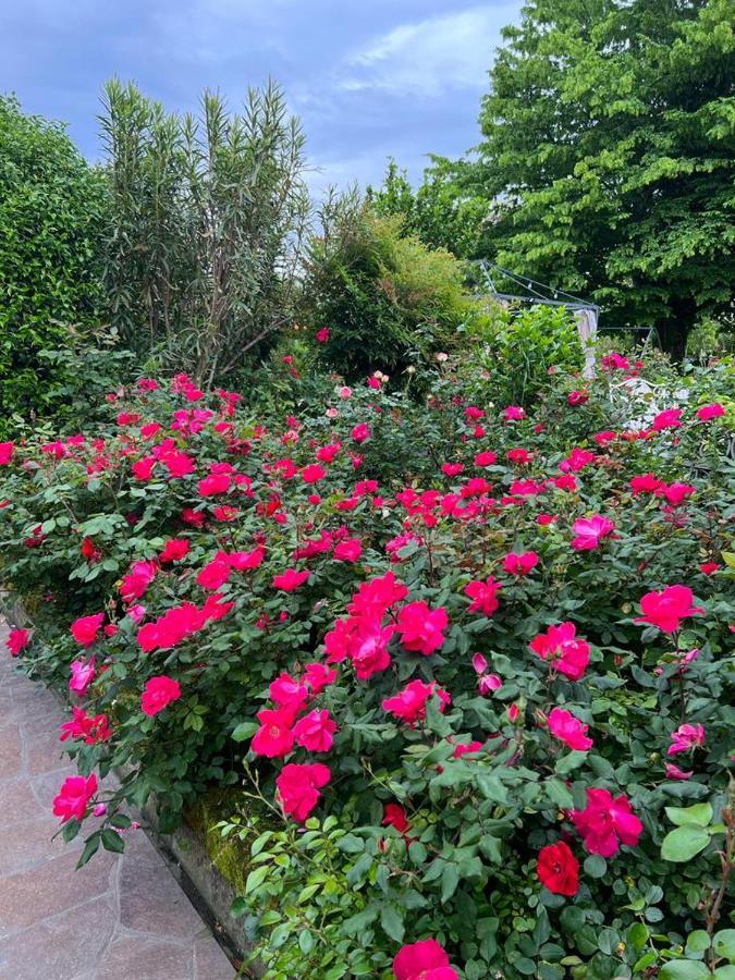 Casa Serenella B&B - Casa Vacanze Piazzola sul Brenta Eksteriør bilde