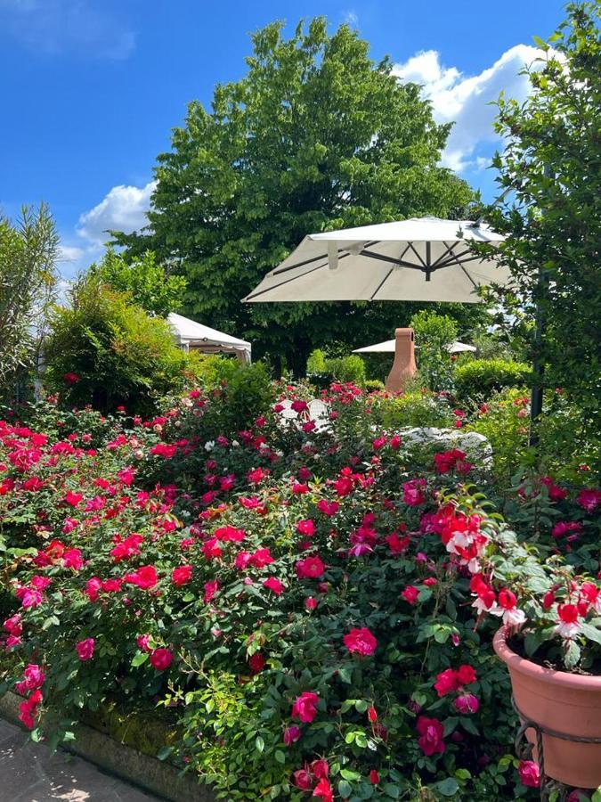Casa Serenella B&B - Casa Vacanze Piazzola sul Brenta Eksteriør bilde